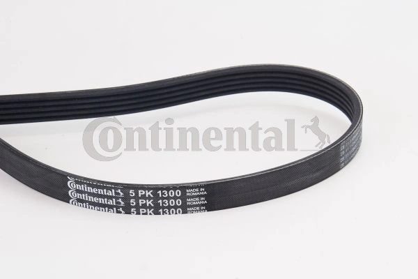 5PK1300 Continental/Siemens Correa poly v