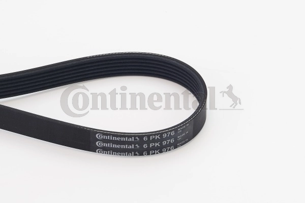6PK976 Continental/Siemens Correa poly v