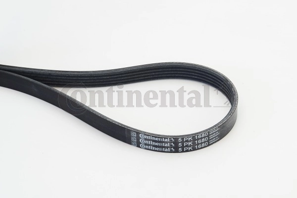 5PK1680 Continental/Siemens Correa poly v