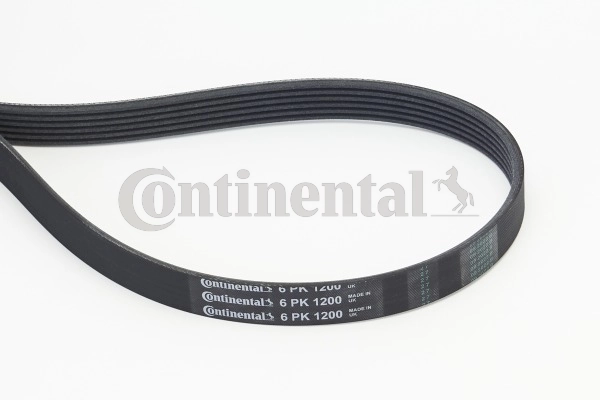 6PK1200 Continental/Siemens Correa poly v