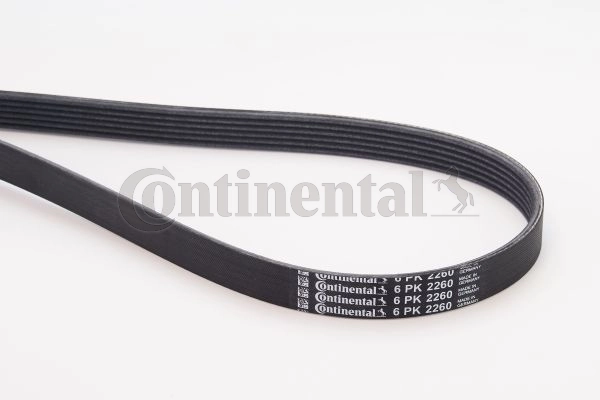 6PK2260 Continental/Siemens Correa poly v
