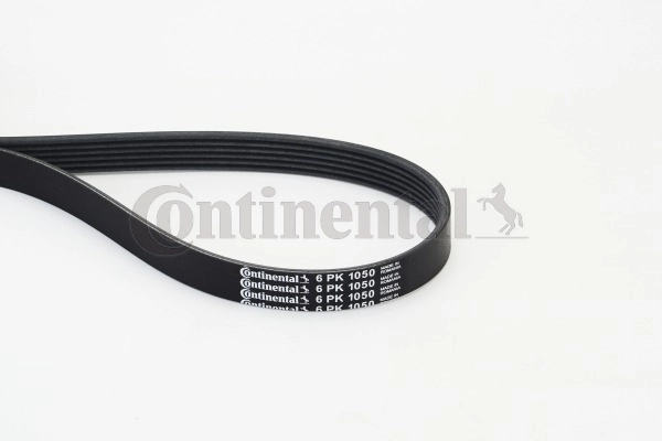 6PK1050 Continental/Siemens Correa poly v