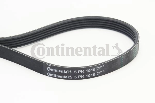 5PK1515 Continental/Siemens Correa poly v