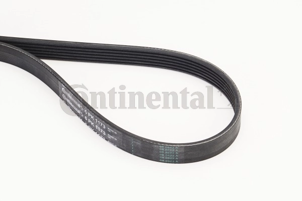 6PK1173 Continental/Siemens Correa poly v