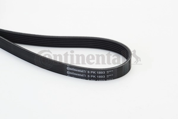 6PK1893 Continental/Siemens Correa poly v