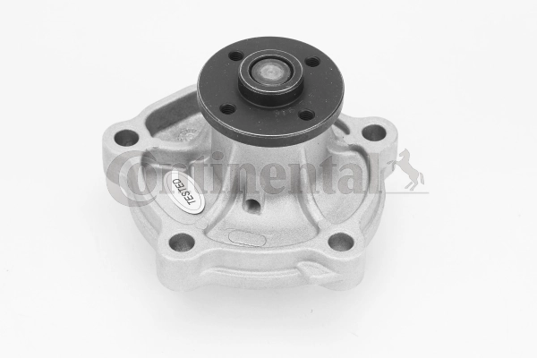 WPS3137 Continental/Siemens