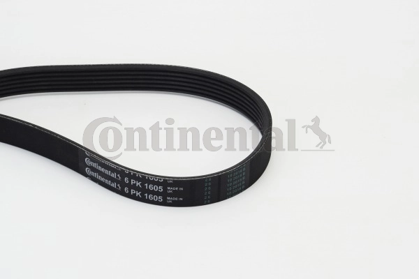 6PK1605 Continental/Siemens