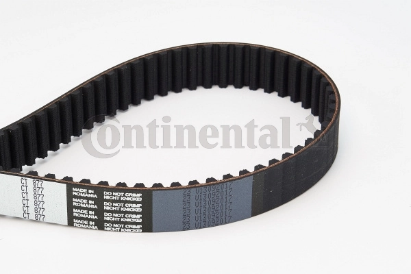 Correa de distribución Continental/Siemens CT877 precio, desde 54,04 EUR