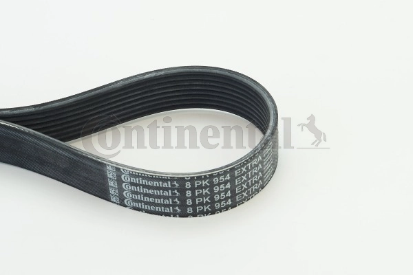 Precio del repuesto Correa trapecial poli V 1  hatchback
