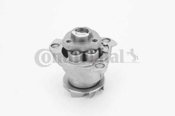 WPS3091 Continental/Siemens