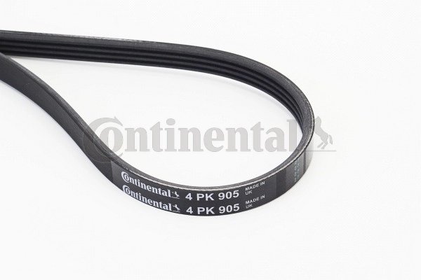 4PK905 Continental/Siemens Correa poly v