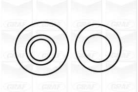 PA1011 Graf Bomba refrigerante coche