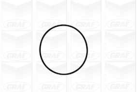 PA1061 Graf Bomba refrigerante coche