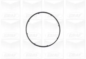 PA1083 Graf Bomba refrigerante coche