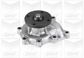 Motor de agua Carnival I monovolumen (1999-2001) original desde 44,21 €