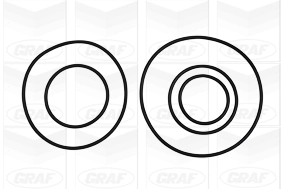 PA1010 Graf Bomba refrigerante coche