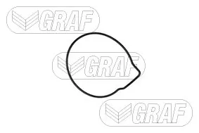 PA674 Graf Bomba refrigerante coche