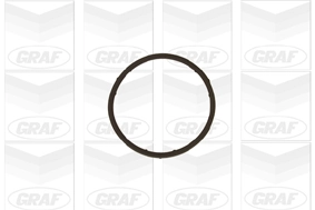 PA654 Graf Bomba refrigerante coche