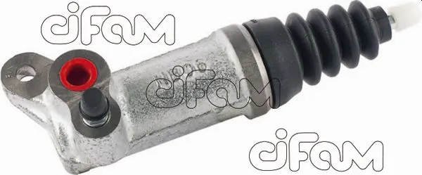 404079 Cifam