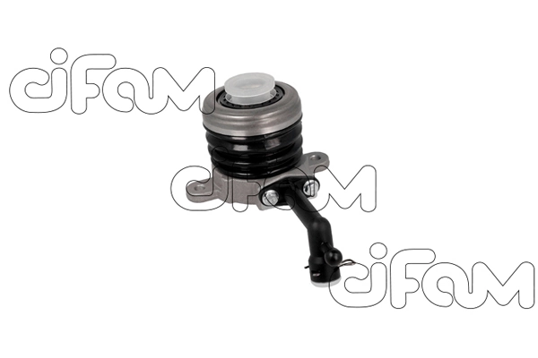 506028 Cifam
