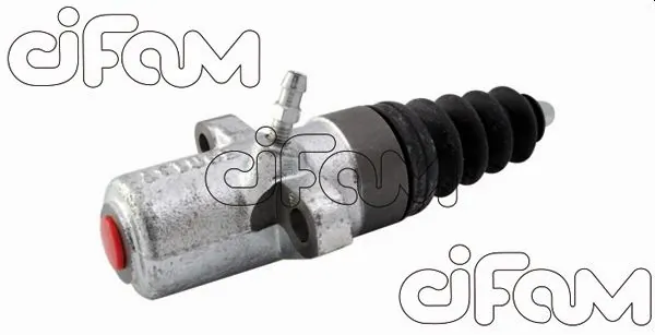 404039 Cifam