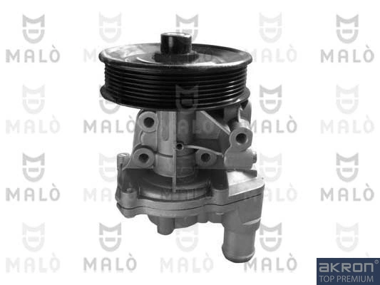 Comprar Bomba de agua para motor Transit  V347/8