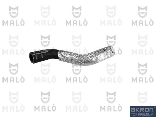 19013 Akron Malo