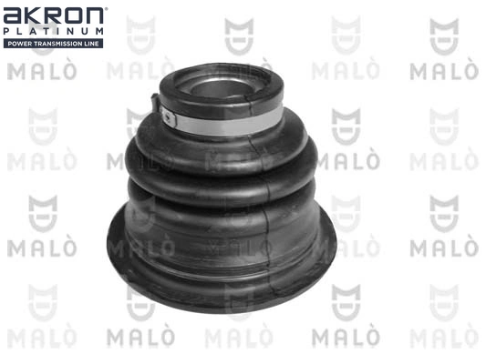 185661 Akron Malo