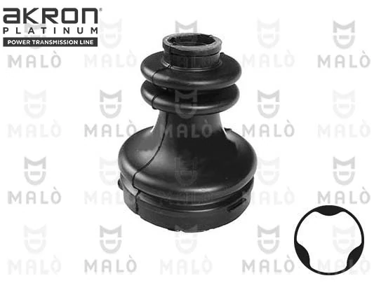 18566 Akron Malo