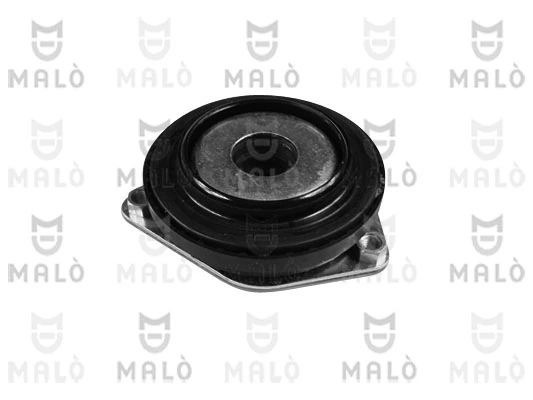 24194 Akron Malo