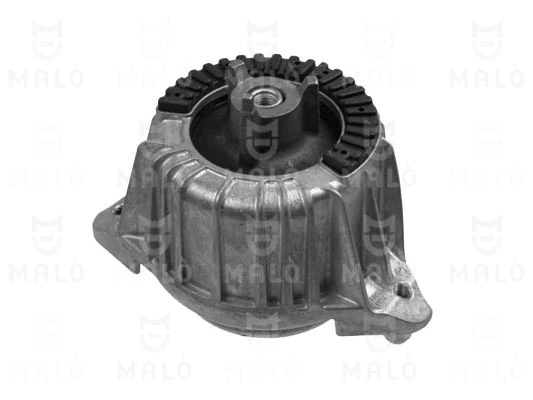 242032 Akron Malo