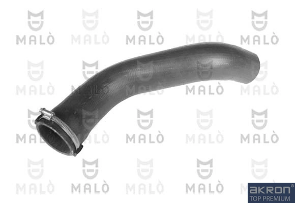 156531A Akron Malo