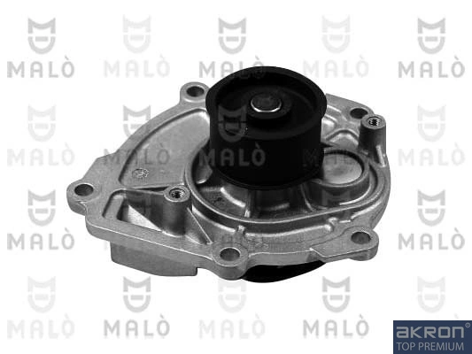 130579 Akron Malo