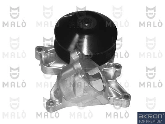 Motor de agua X1  SUV (2009-2015) original desde 72,58 €