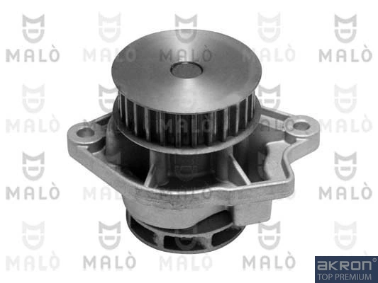 Motor de agua Cordoba  sedán (2002-2009) original desde 39,23 €
