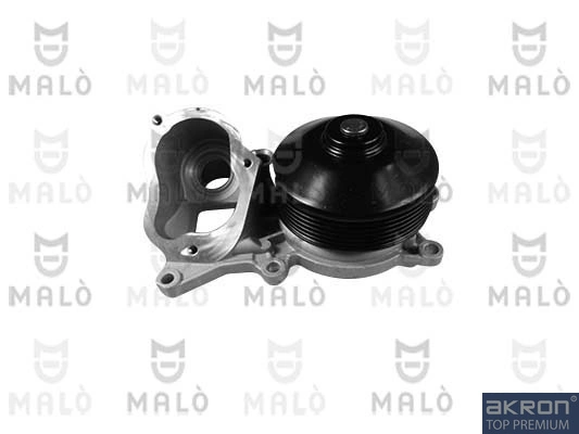 Bombeadora de agua BMW 5  desde 72,10 €