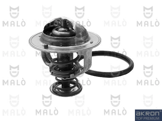 TER443 Akron Malo