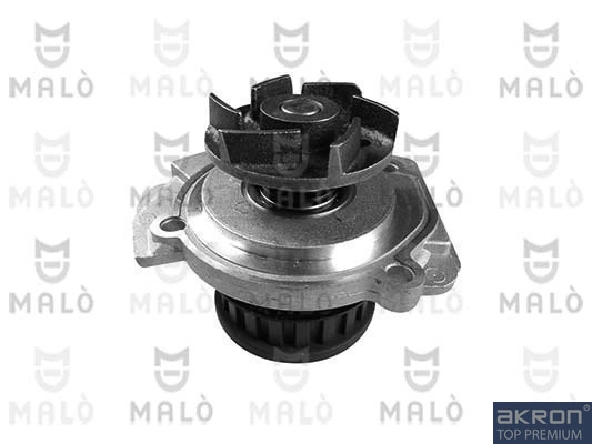 130172 Akron Malo