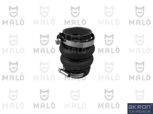 303041 Akron Malo