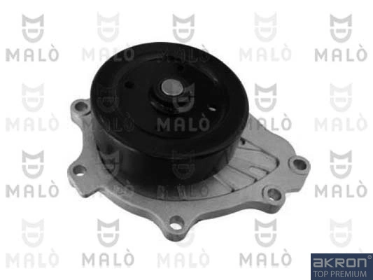 Bomba refrigerante coche Toyota RAV4 IV (2012-2019)