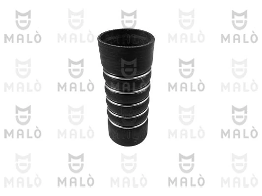 35019SIL Akron Malo
