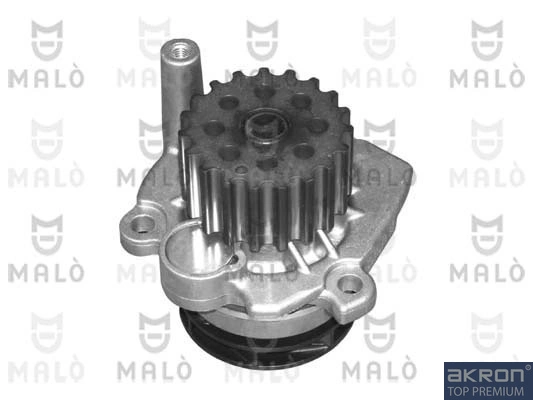 Motor de agua para Skoda SuperB II (3T4)