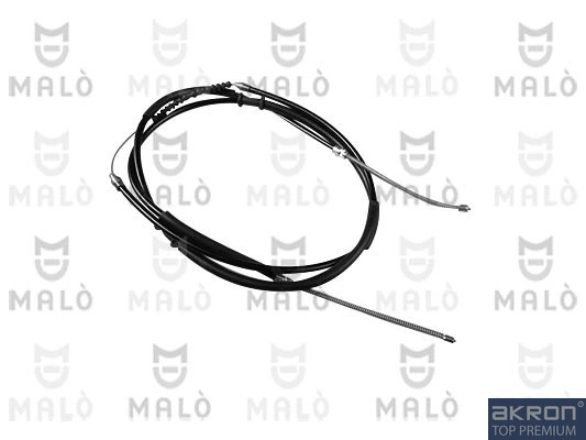 21331 Akron Malo