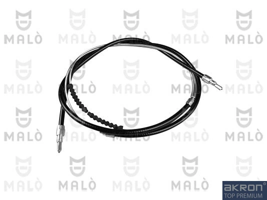 21333 Akron Malo