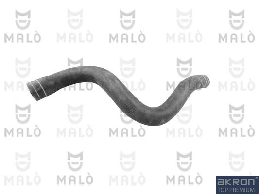 301992A Akron Malo