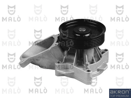 Comprar Bomba de agua BMW X6  E71 a bajo precio