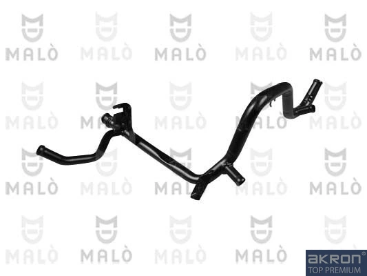 17324 Akron Malo