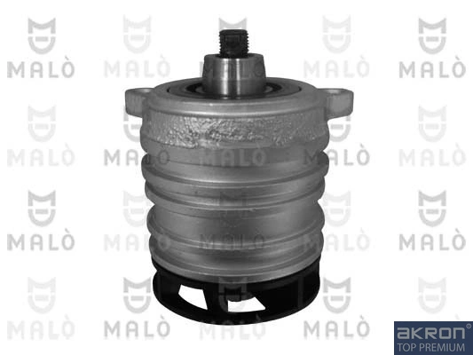 130338 Akron Malo