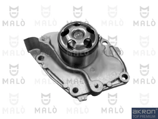Motor de agua Renault Megane II descapotable comprar en España