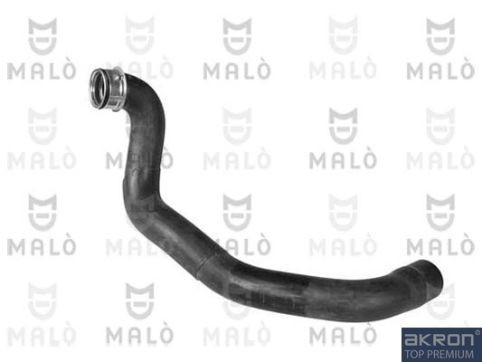 241791A Akron Malo